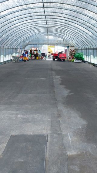 둥이농장(김준태)님의 자유주제 · 자유게시판 작성글 사진