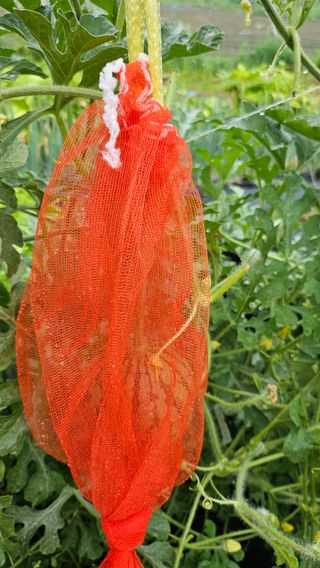 이원복님의 자유주제 · 사진전 작성글 사진