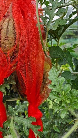 이원복님의 자유주제 · 사진전 작성글 사진