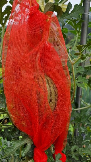 이원복님의 자유주제 · 사진전 작성글 사진