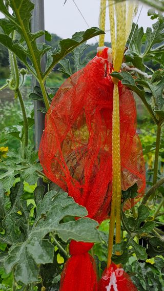 이원복님의 자유주제 · 사진전 작성글 사진