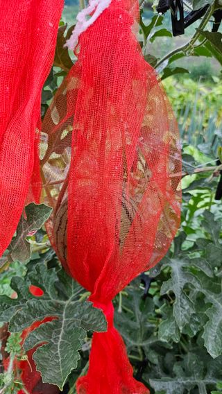 이원복님의 자유주제 · 사진전 작성글 사진