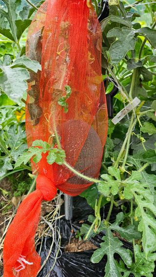 이원복님의 자유주제 · 사진전 작성글 사진