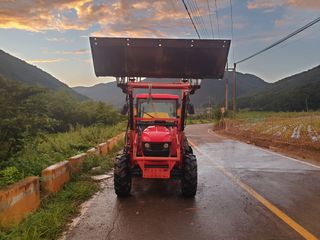 형제농원 (이상팔)님의 작성글 사진