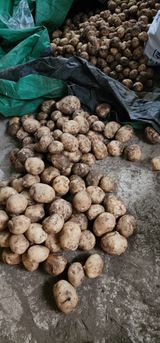 팜모닝 자유주제·자유게시판 게시글 이미지