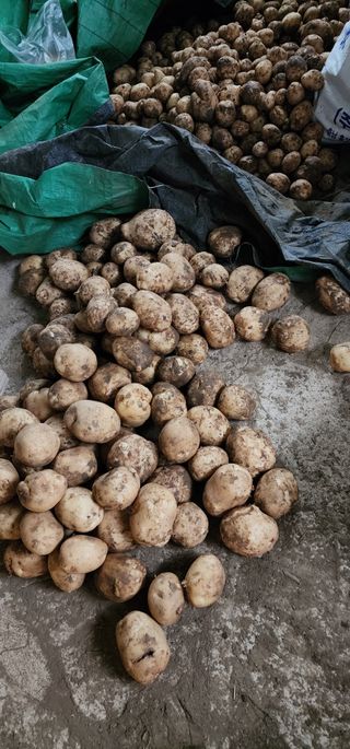 강인석님의 자유주제 · 자유게시판 작성글 사진