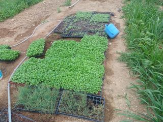 알 수 없음님의 자유주제 · 사진전 작성글 사진