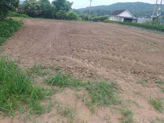 알 수 없음님의 자유주제 · 사진전 작성글 사진