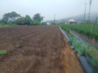 알 수 없음님의 자유주제 · 사진전 작성글 사진