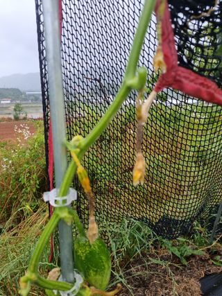 김소영님의 자유주제 · 자유게시판 작성글 사진