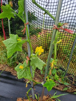 김소영님의 자유주제 · 자유게시판 작성글 사진