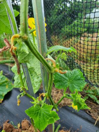 김소영님의 자유주제 · 자유게시판 작성글 사진