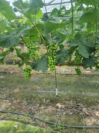 문순이님의 자유주제 · 자유게시판 작성글 사진