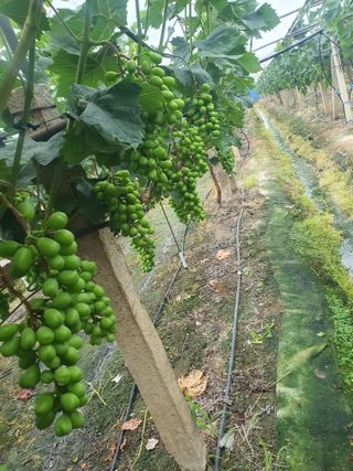 문순이님의 자유주제 · 자유게시판 작성글 사진