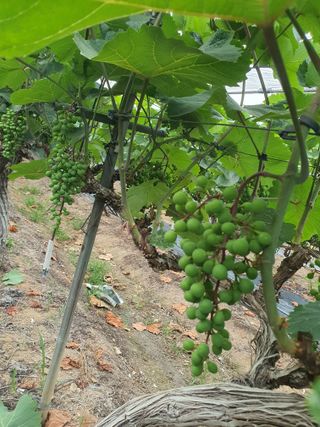 문순이님의 자유주제 · 자유게시판 작성글 사진