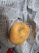 팜모닝 감자·병해충상담 게시글 이미지