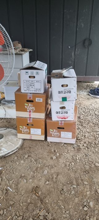 곽용철님의 감자 · 영농일지 작성글 사진