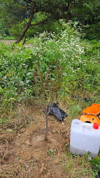 이원복님의 자유주제 · 사진전 작성글 사진