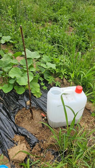 이원복님의 자유주제 · 사진전 작성글 사진