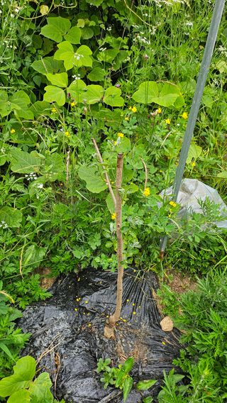 이원복님의 자유주제 · 사진전 작성글 사진