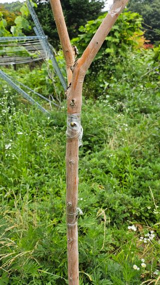 이원복님의 자유주제 · 사진전 작성글 사진