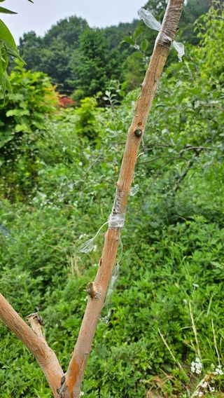 이원복님의 자유주제 · 사진전 작성글 사진