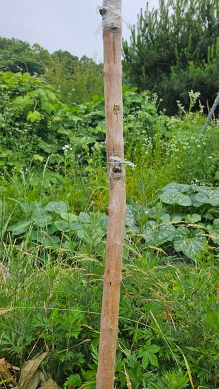 이원복님의 자유주제 · 사진전 작성글 사진