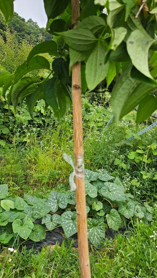 이원복님의 자유주제 · 사진전 작성글 사진