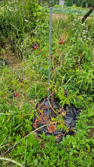 이원복님의 자유주제 · 사진전 작성글 사진