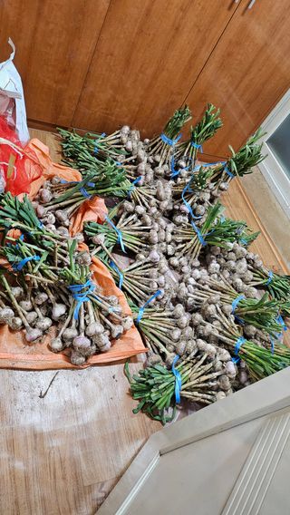 이원복님의 자유주제 · 사진전 작성글 사진