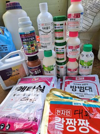 두릅나무16466님의 파 · 영농일지 작성글 사진