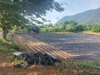 엄완섭님의 콩 · 영농일지 작성글 사진