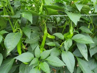 이상협님의 자유주제 · 자유게시판 작성글 사진