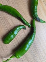 팜모닝 고추·병해충상담 게시글 이미지