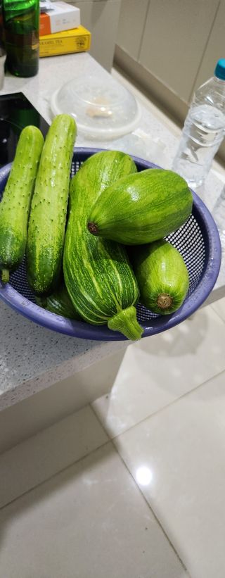 홍순강화모리님의 호박 · 영농일지 작성글 사진