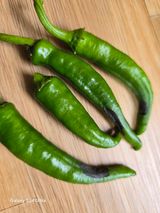 팜모닝 고추·병해충상담 게시글 이미지