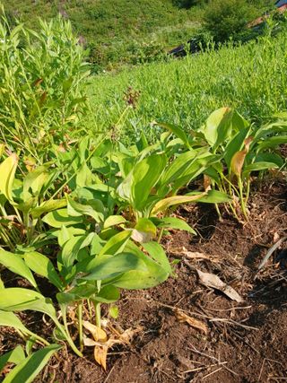 황덕순 님의 자유주제 · 자유게시판 작성글 사진