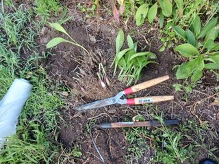 황덕순 님의 자유주제 · 자유게시판 작성글 사진