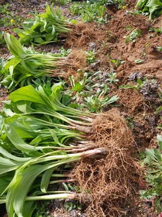 황덕순 님의 자유주제 · 자유게시판 작성글 사진