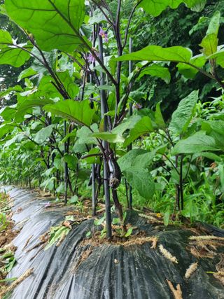 손병만님의 자유주제 · 자유게시판 작성글 사진