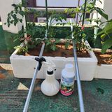 팜모닝 자유주제·자유게시판 게시글 이미지