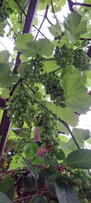 콩18930님의 자유주제 · 자유게시판 작성글 사진