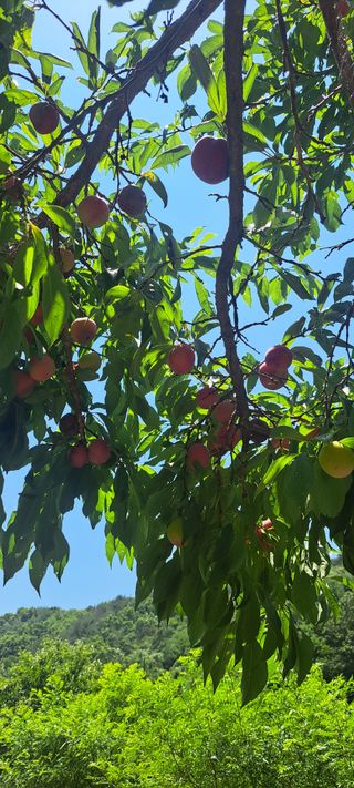 콩18930님의 자유주제 · 자유게시판 작성글 사진