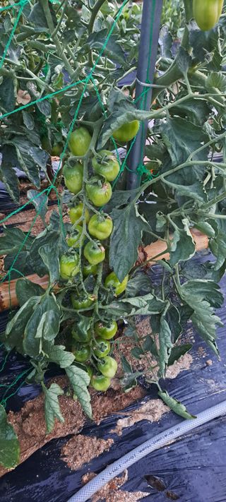 콩18930님의 자유주제 · 자유게시판 작성글 사진