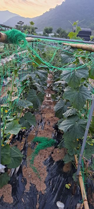 콩18930님의 자유주제 · 자유게시판 작성글 사진