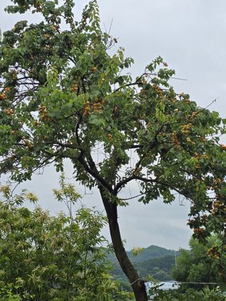 땅콩님의 자유주제 · 자유게시판 작성글 사진