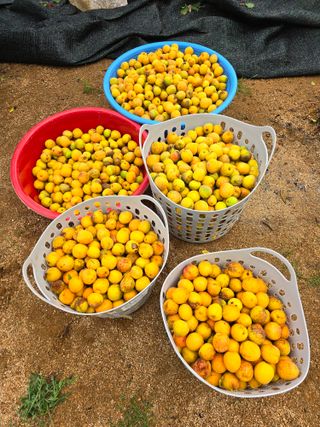 땅콩님의 자유주제 · 자유게시판 작성글 사진