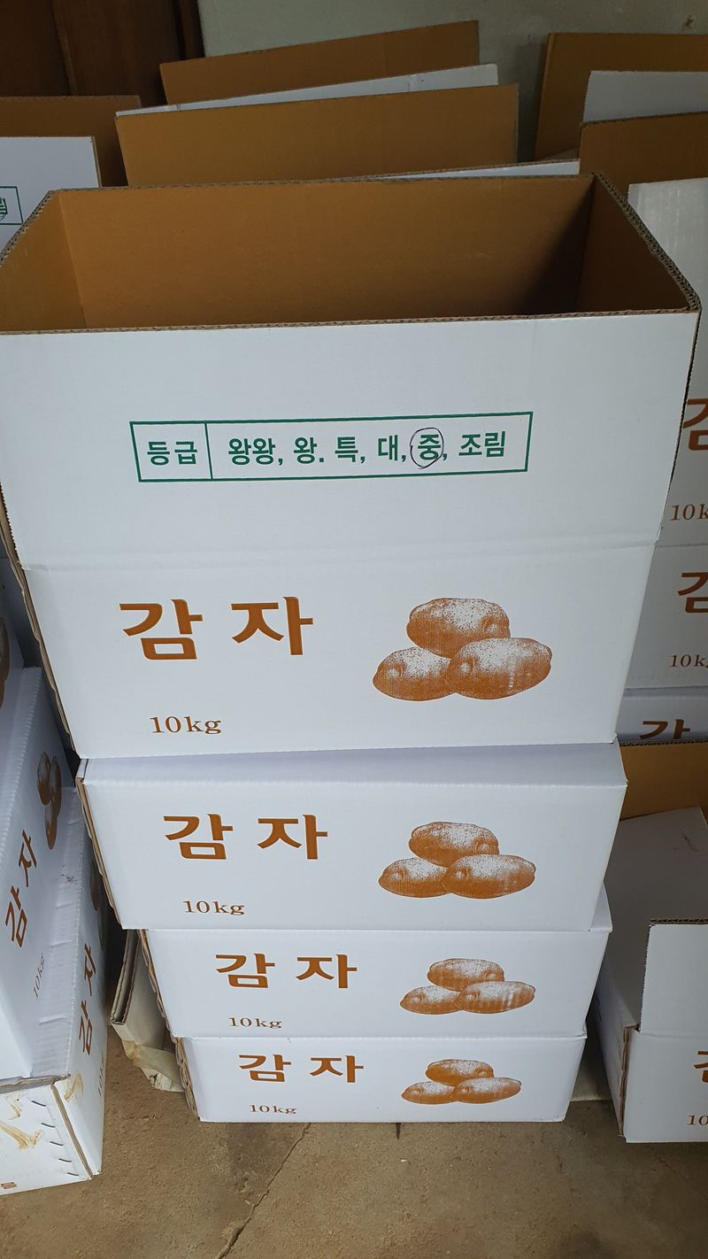 정태권님의 장터 판매 상품 [하지감자] 첨부 사진