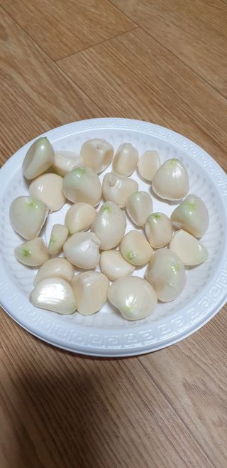 작은농원님의 자유주제 · 자유게시판 작성글 사진