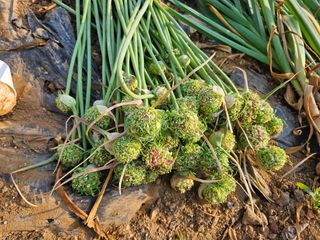 한은석님의 자유주제 · 자유게시판 작성글 사진